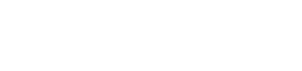 NEXO Digital Consulting